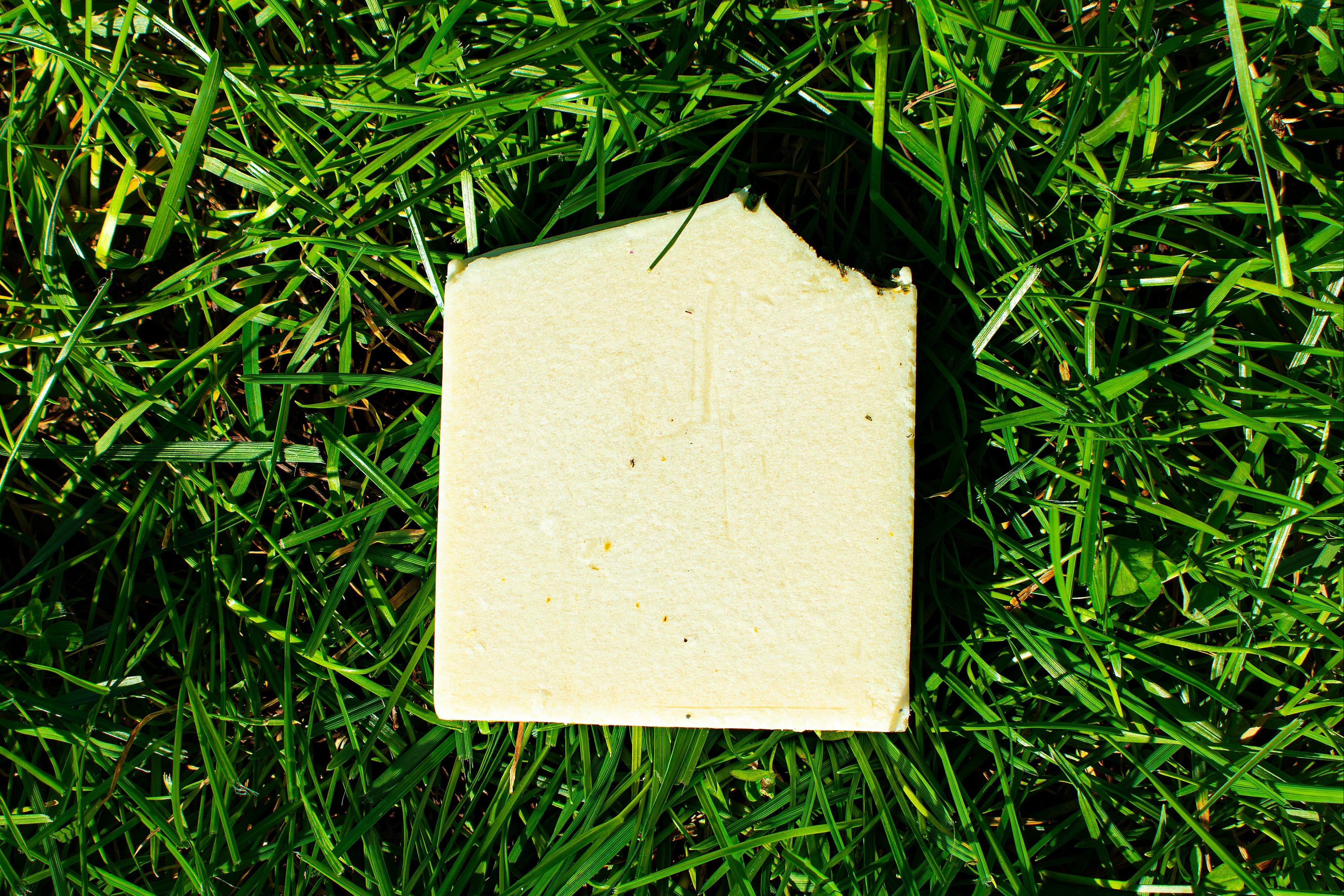 soap on green grass