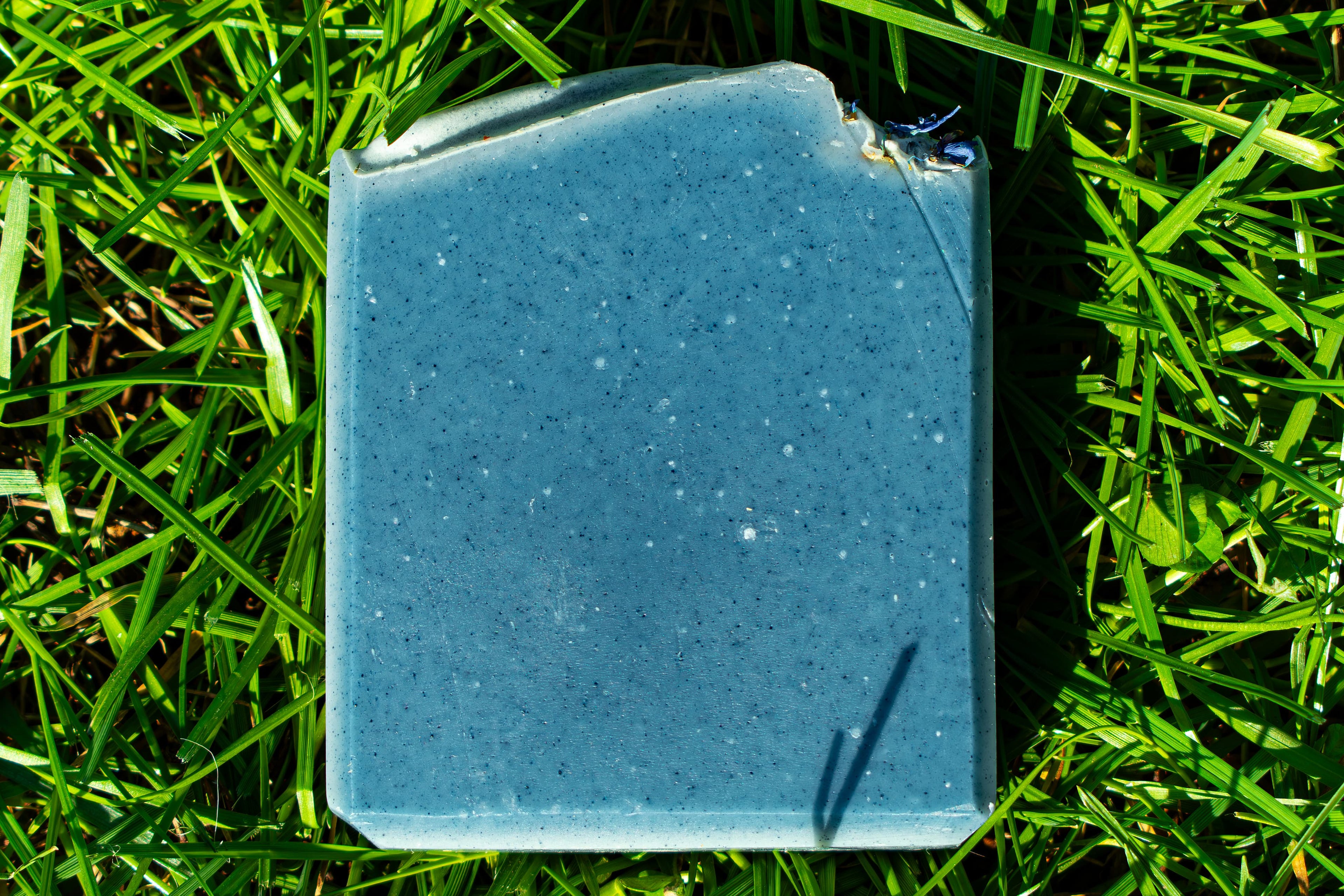 Blue soap on grass