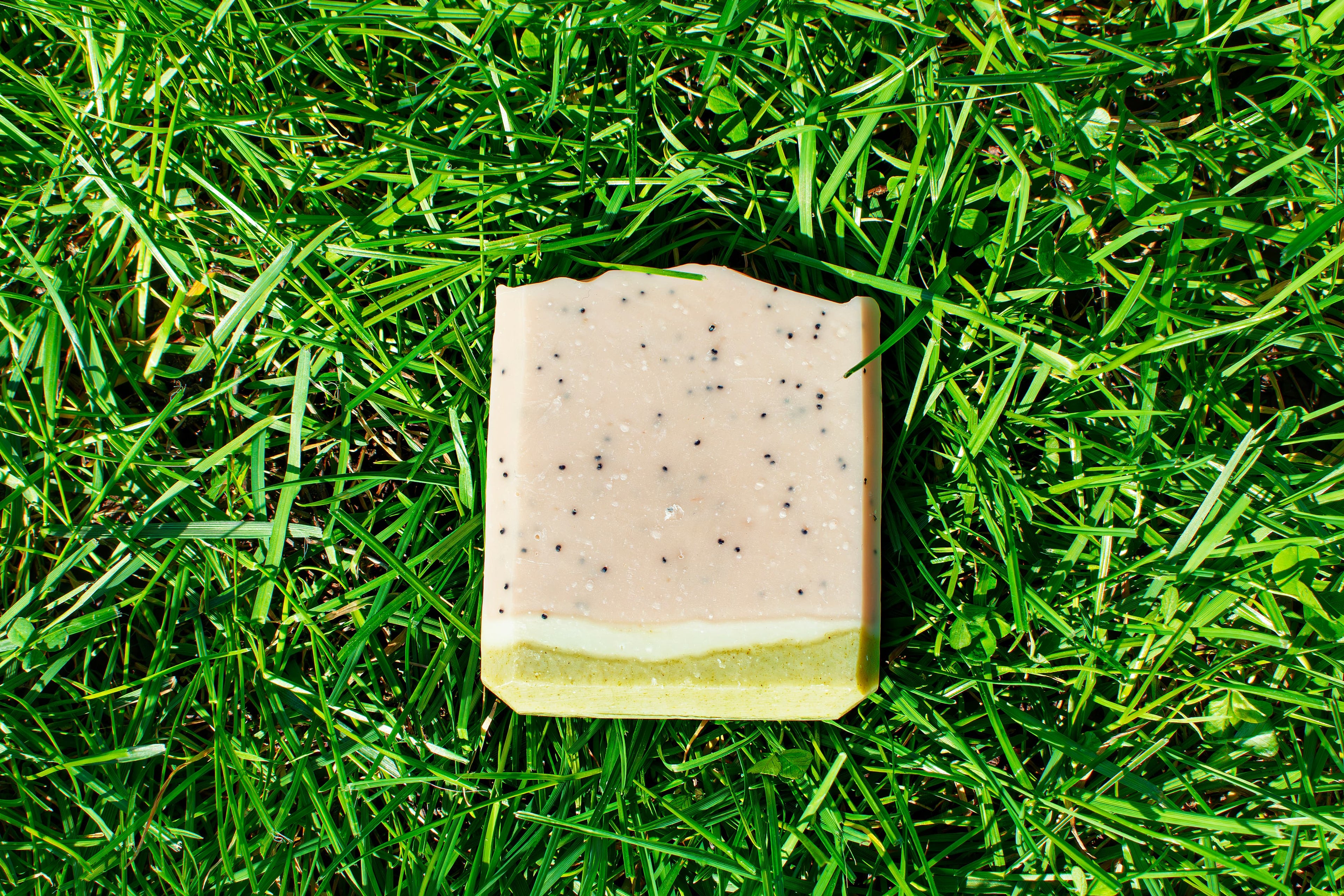 Bar of soap on a grassy surface