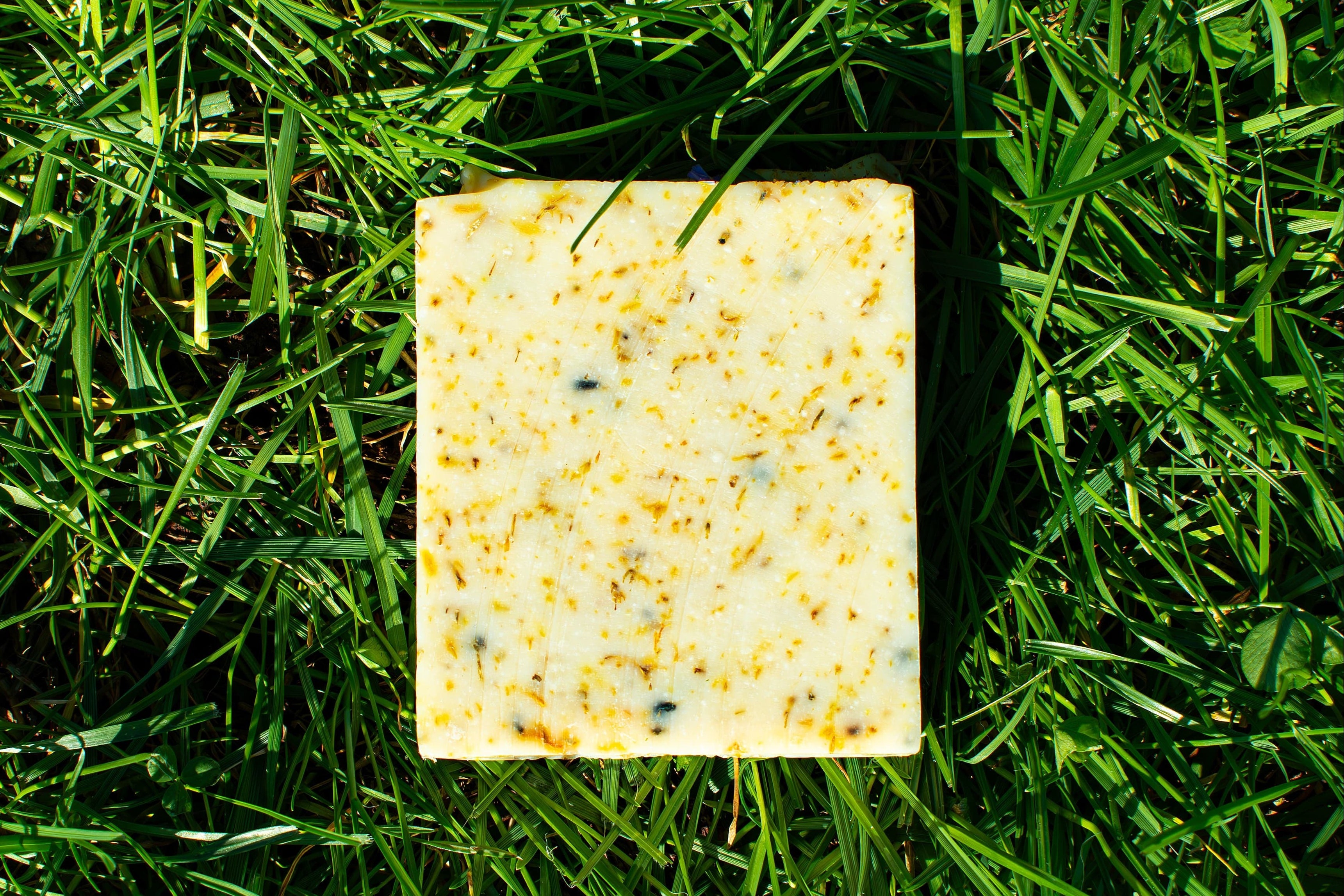 Rectangular piece of soap on a grassy background