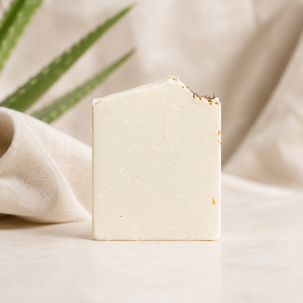 Bar of soap on a neutral background with a plant leaf