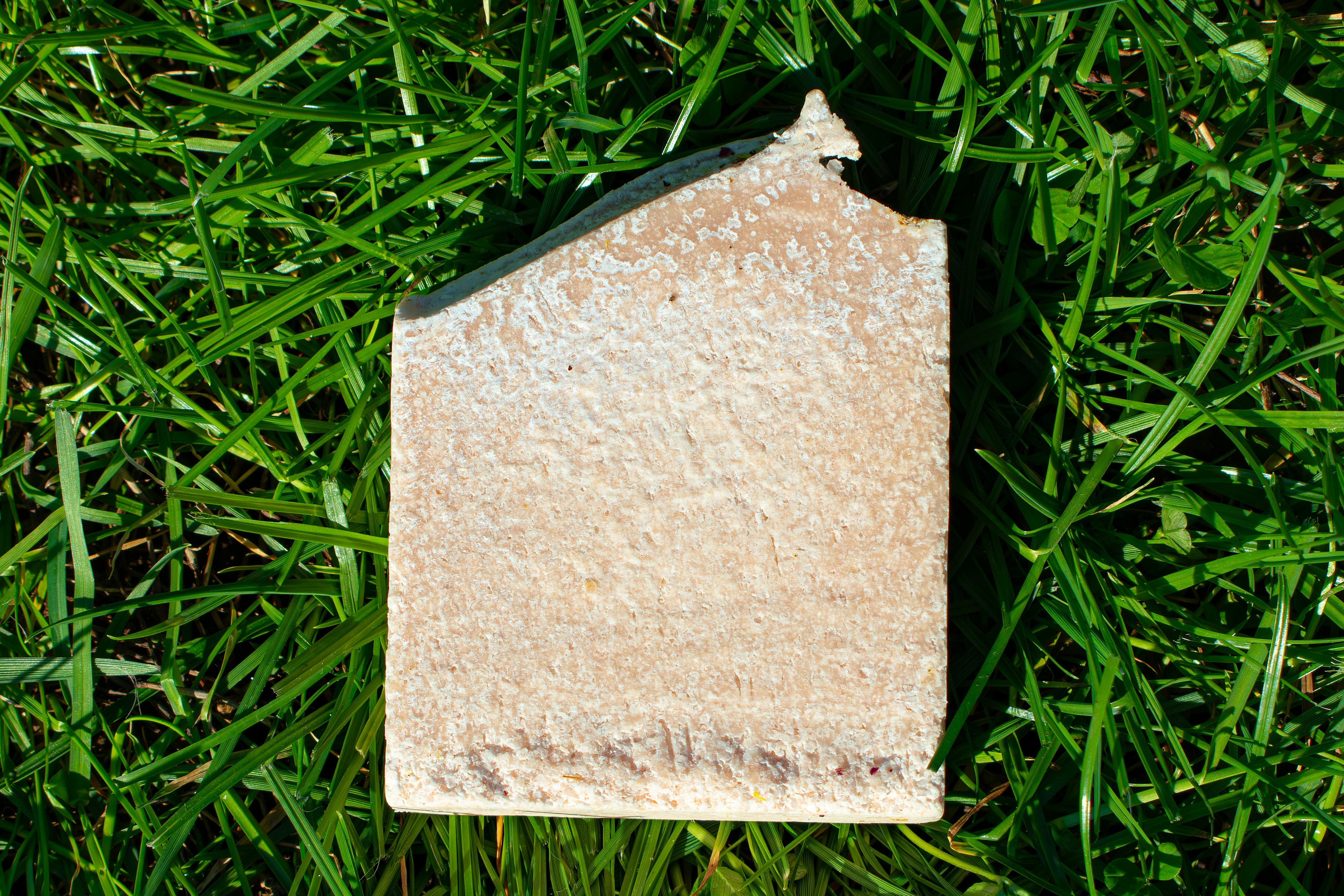 Pink salt soap on green grass