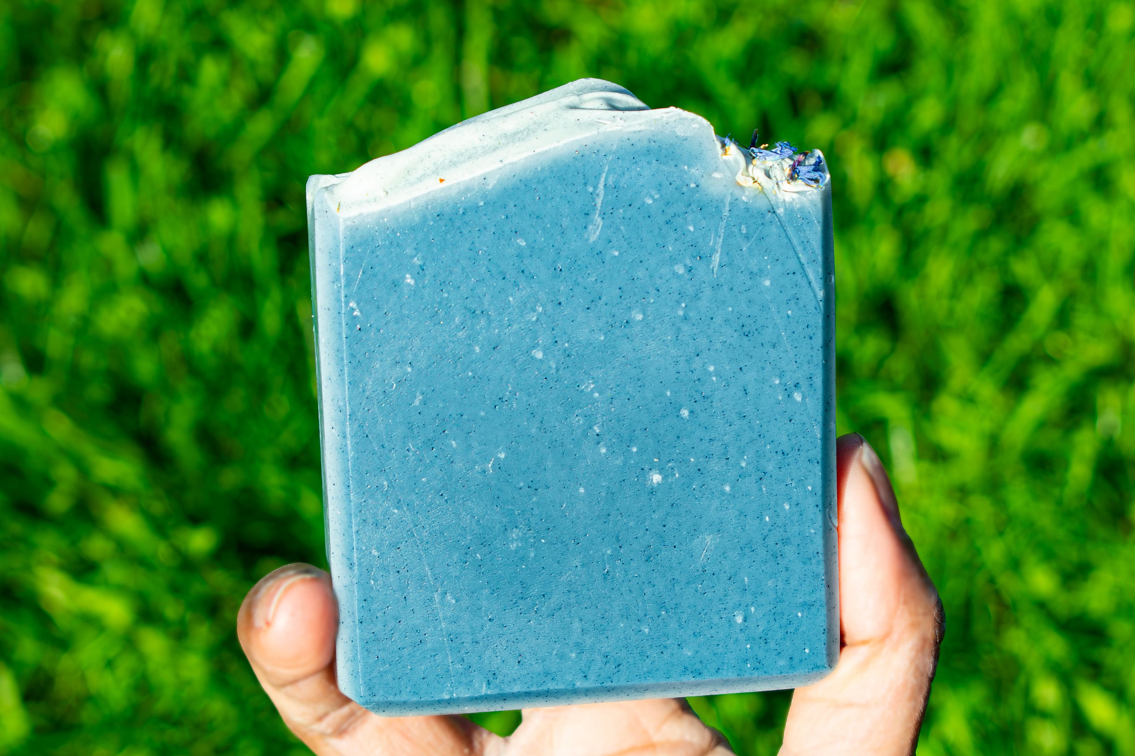 Hand holding a blue bar of soap against a green grass background