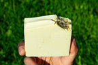 Hand holding a bar of soap against a grassy background