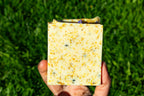Hand holding a square block of soap against a grass background